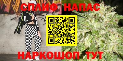 ешки Кингисепп
