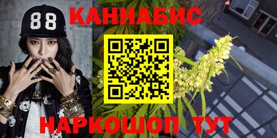 ешки Кингисепп
