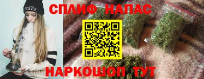 ешки Кингисепп