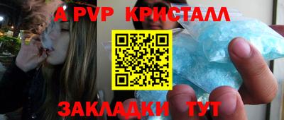 ешки Кингисепп