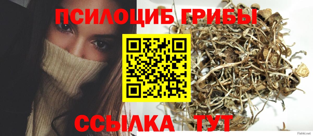 Галлюциногенные грибы мицелий  Вход с VPN  Дзержинский 